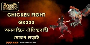 Chicken Fight GK333 - অনলাইনে ঐতিহ্যবাহী মোরগ লড়াই