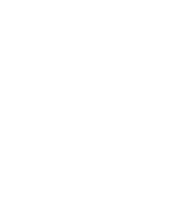 safe-payment gk333